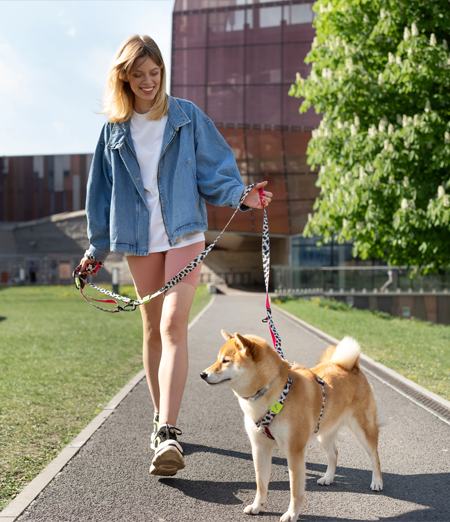 Come abituare il tuo cane al guinzaglio e rendere la passeggiata piacevole