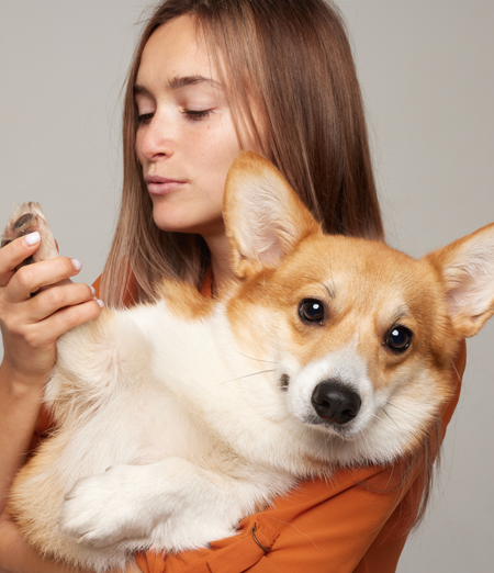 Antiparassitario per il cane: ricordati dell'effetto repellente