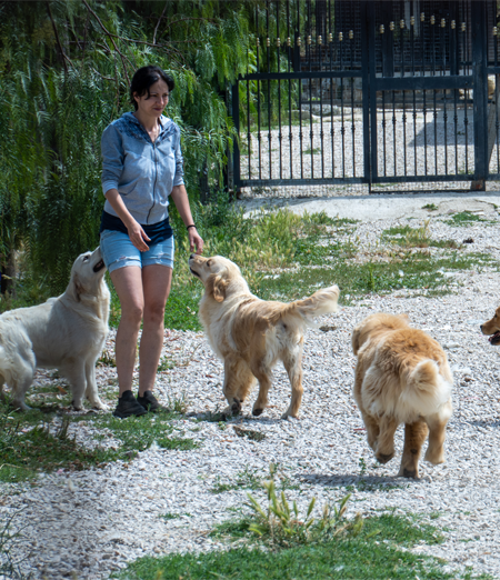 Cremazione degli Animali