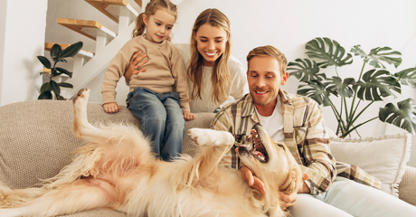 Un Amico Dorato: Come un Golden Retriever ha Cambiato la Vita della Famiglia Rossi