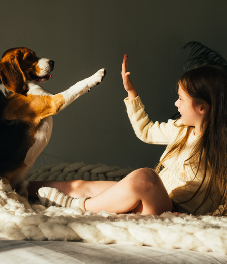 4 Consigli Fondamentali per Scegliere il Cucciolo dei Tuoi Sogni