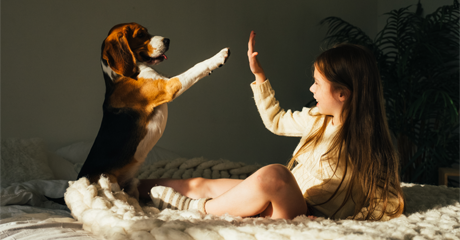 4 Consigli Fondamentali per Scegliere il Cucciolo dei Tuoi Sogni