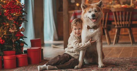Come un Shiba Inu ha Cambiato la Vita dei Rossi!